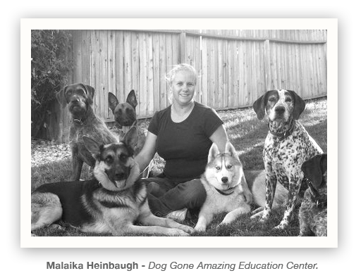 Makaila Heinbaugh - Dog Gone Amazing Education Center