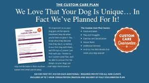 client communication marketing