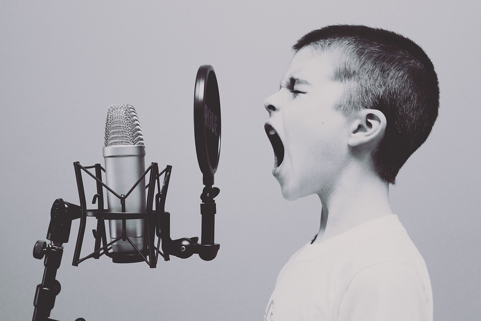 Building Your Brand Voice – Branding and Copywriting Reno