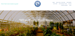 comprehensive branding