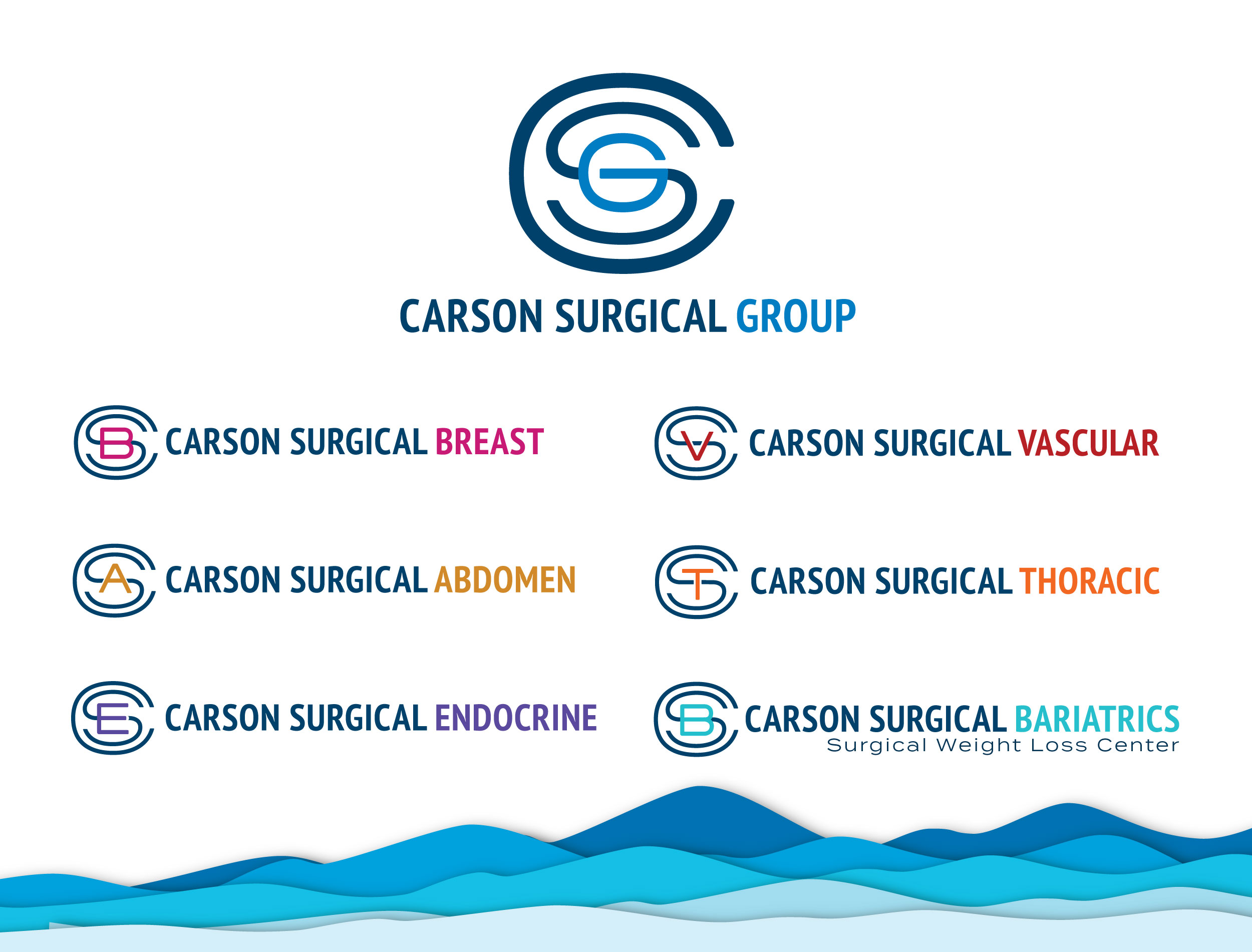 CSG_Logos_Horizontal_lt